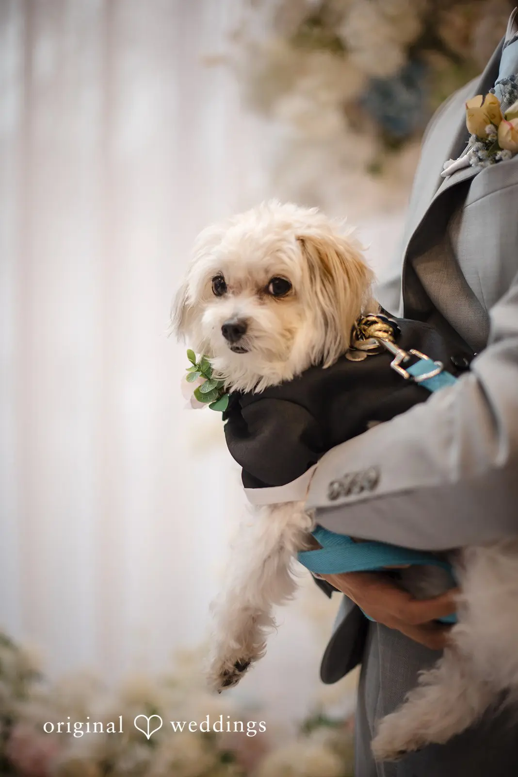 Hilton Bellevue Wedding // Whitney & Kevin -