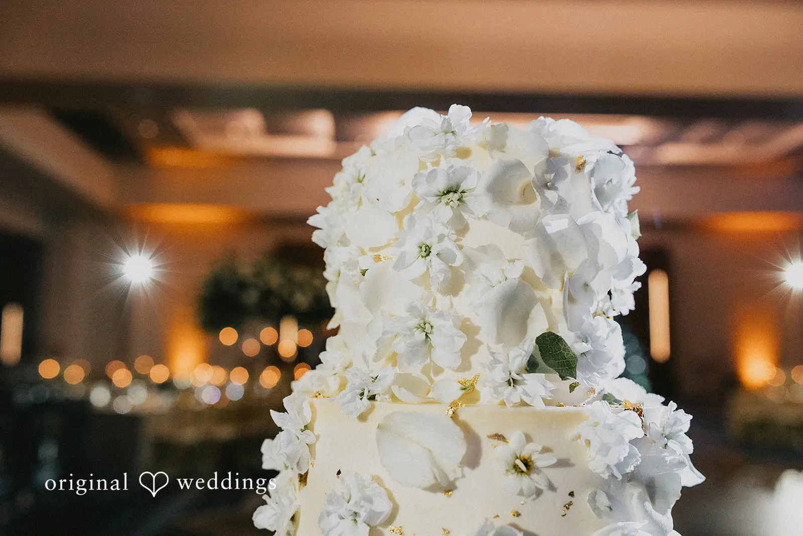 Hyatt Regency Grand Cypress Wedding // Nina & Emmet -