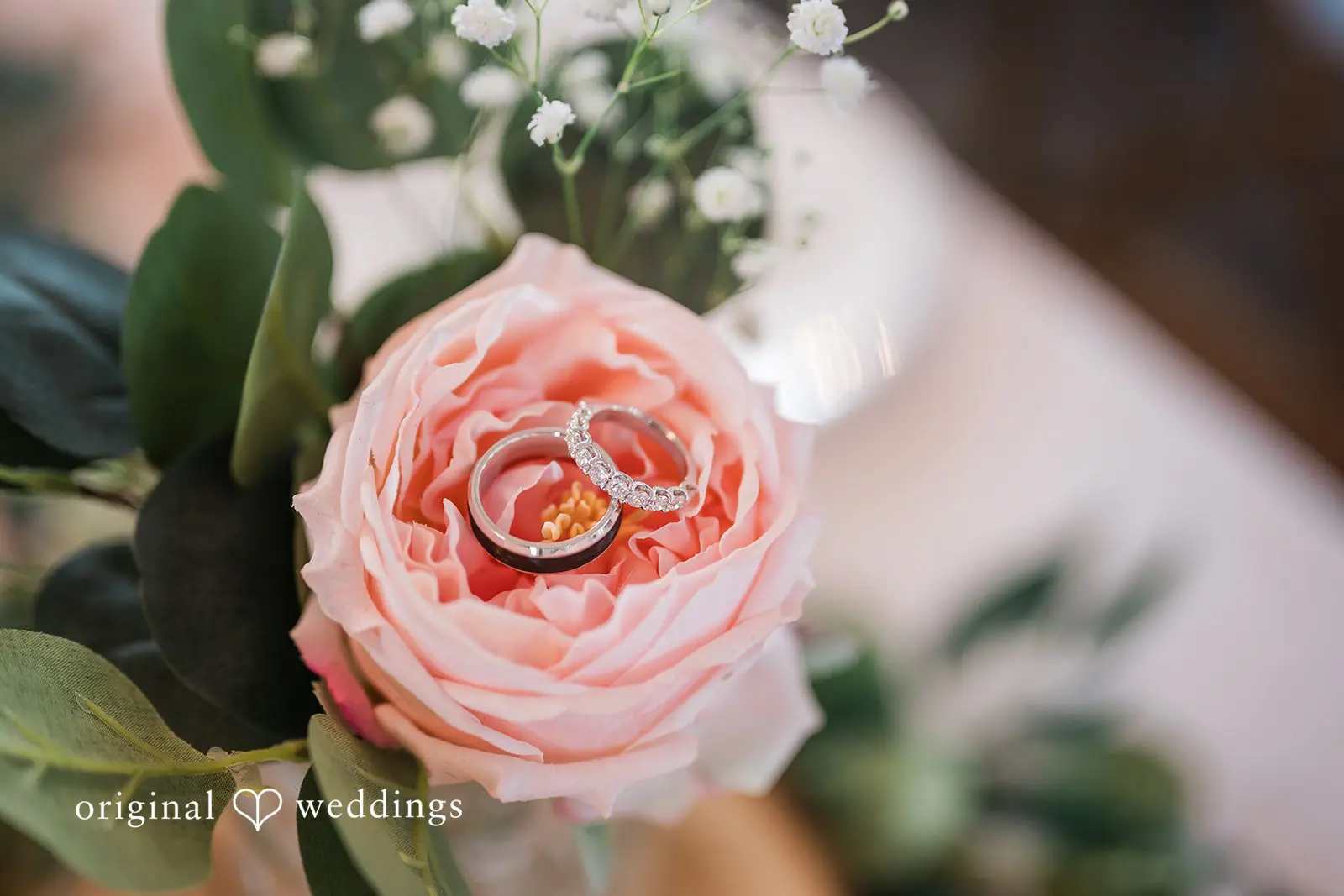 Katelynn + Zach Ivory Meadows Wedding // Katelynn & Zach -