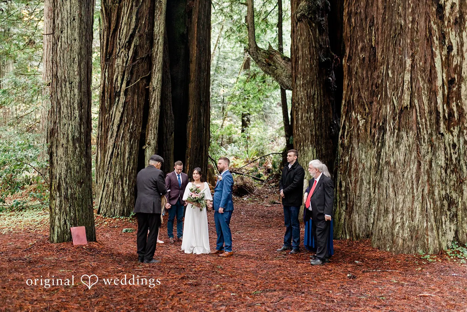 Kelly + Mark Jedediah Smith State Park Wedding // Kelly & Mark -