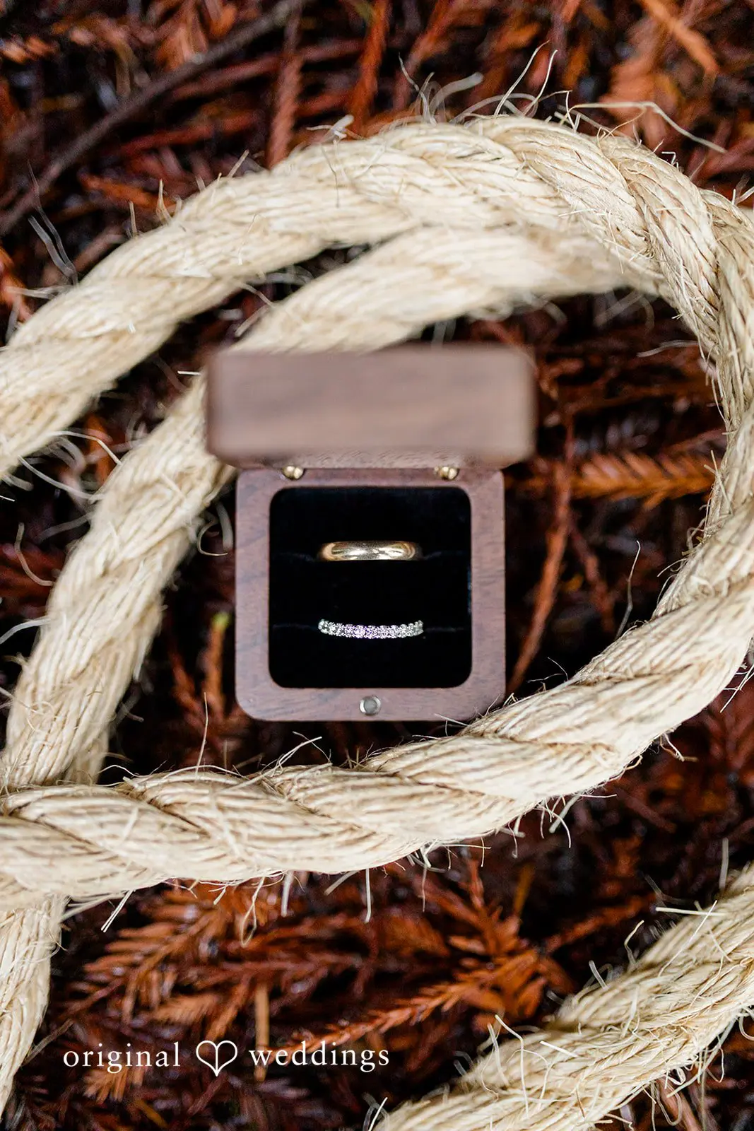 Kelly + Mark Jedediah Smith State Park Wedding // Kelly & Mark -