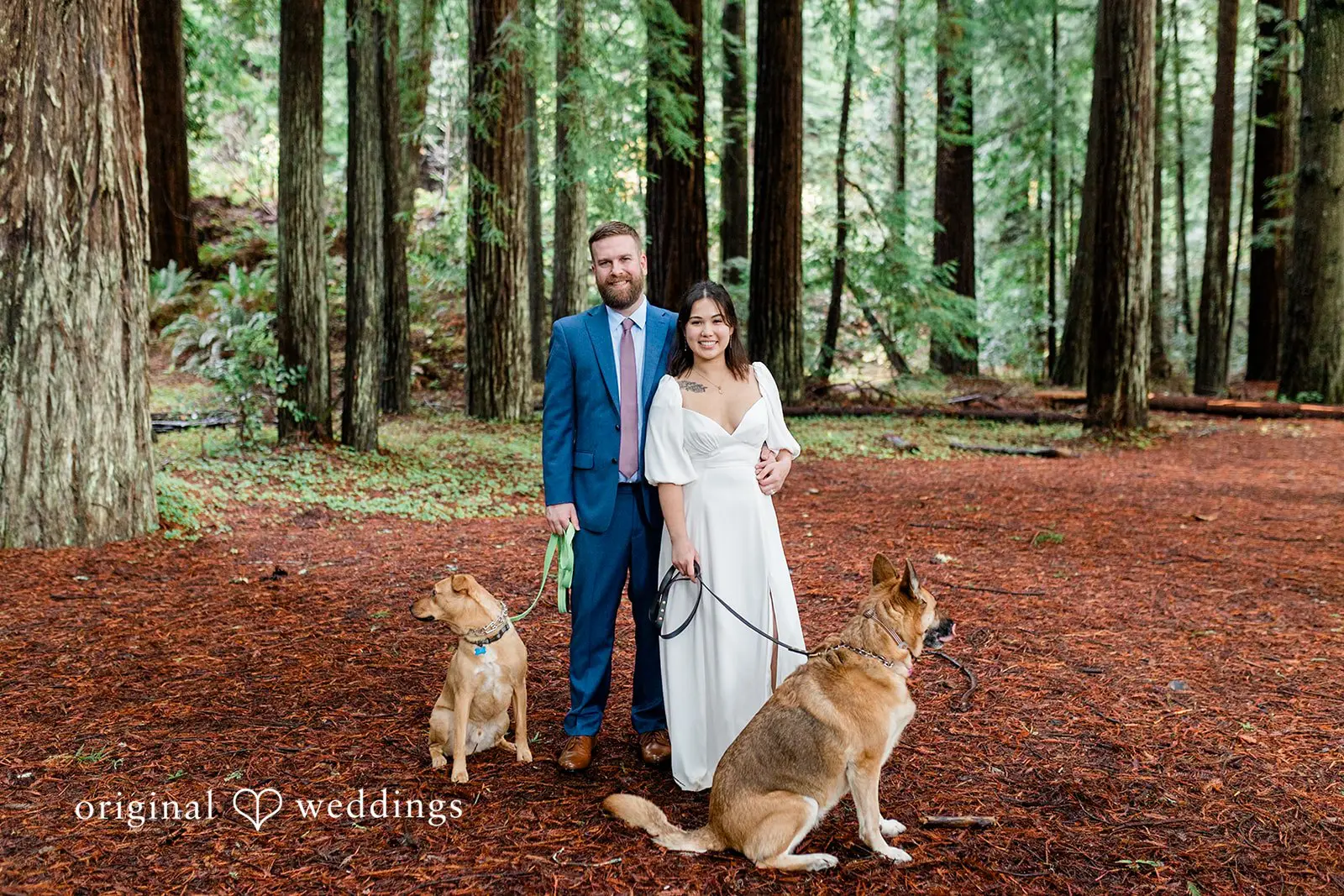 Kelly + Mark Jedediah Smith State Park Wedding // Kelly & Mark -