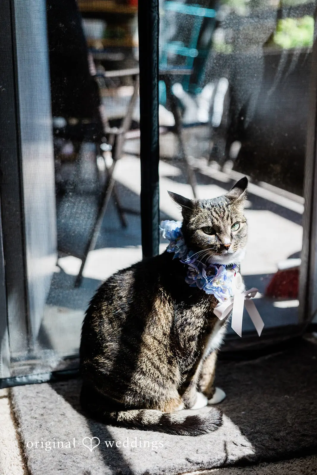 Catherine + Jeremy King County Superior Court Wedding // Catherine & Jeremy -