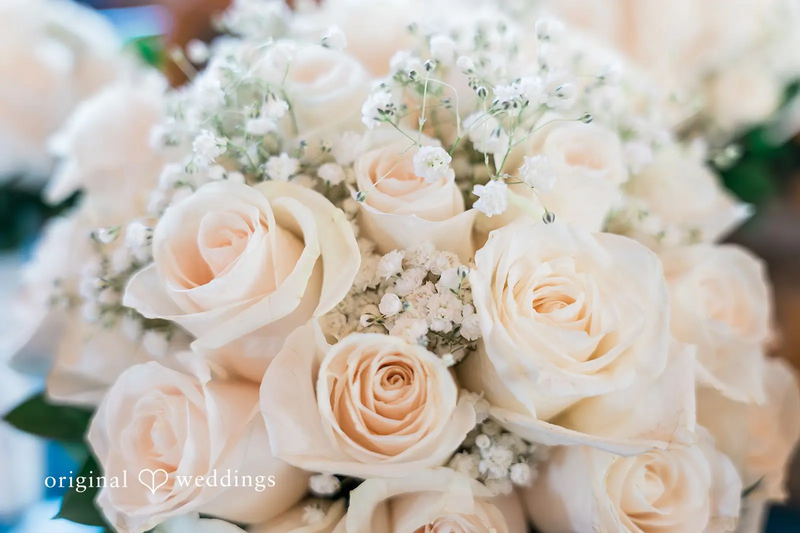 La Grande Estates Wedding // Taylor & Justin -