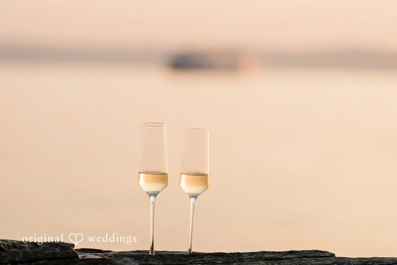 Lincoln Park Engagement // Melissa & Jesus -