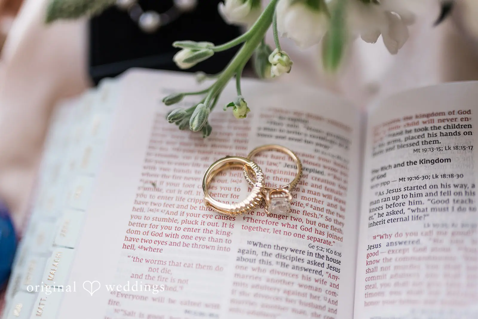 Lithia Acres Wedding // Vanessa & Caton Joseph -