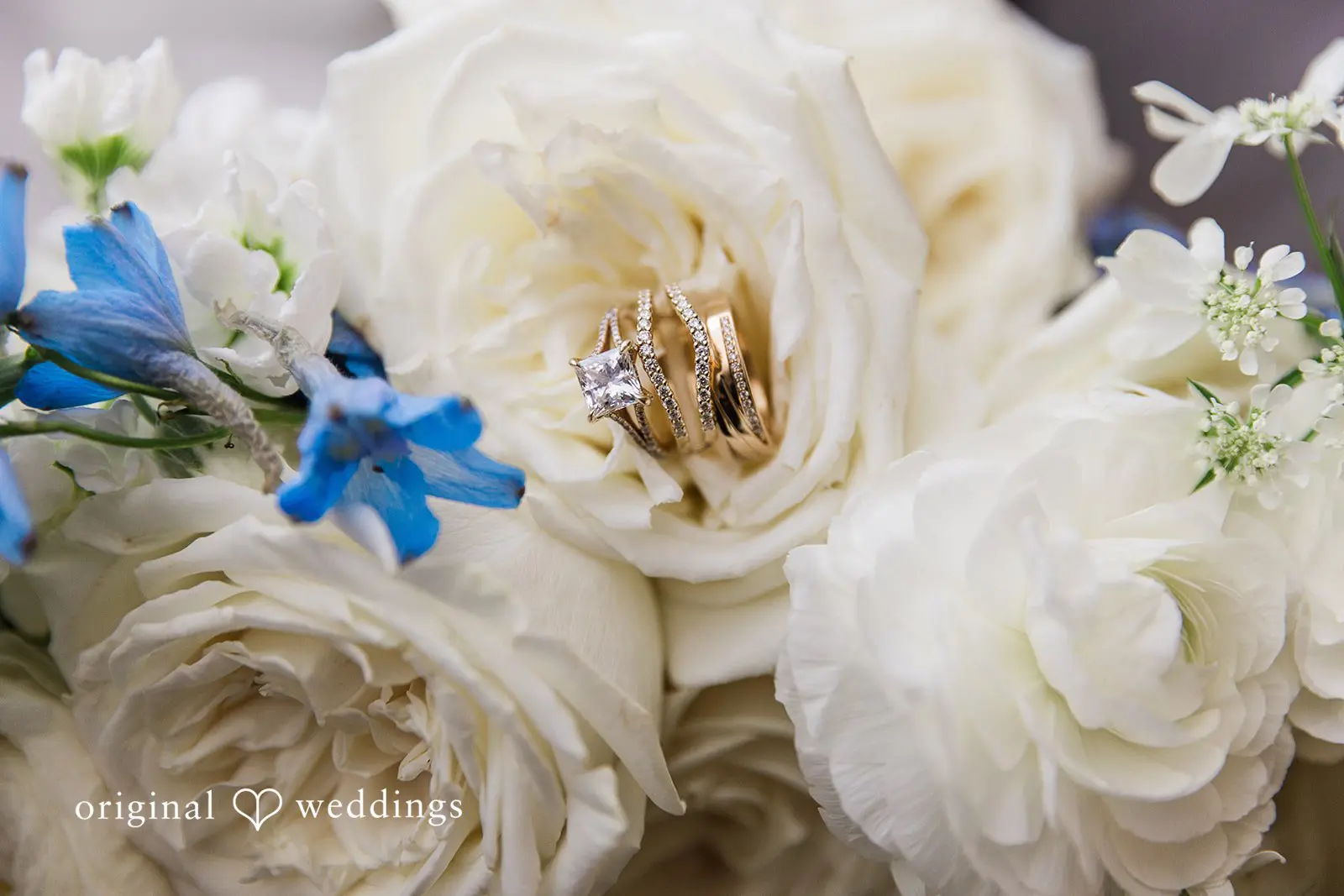Lithia Acres Wedding // Vanessa & Caton Joseph -