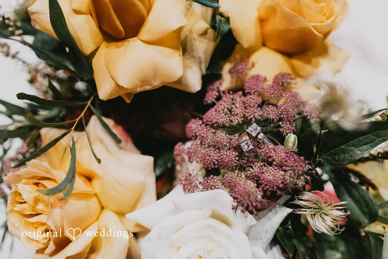 Shehreen + Sonia MOHAI Wedding // Shehreen & Sonia -