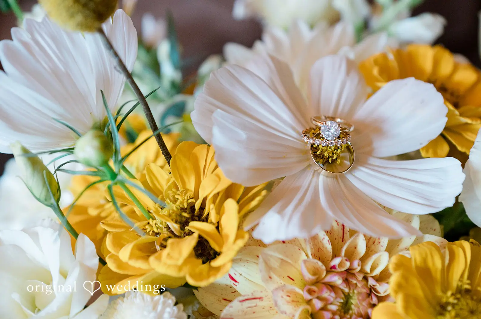 Stephanie + Mitchell Mountain Springs Lodge Wedding // Stephanie & Mitchell -