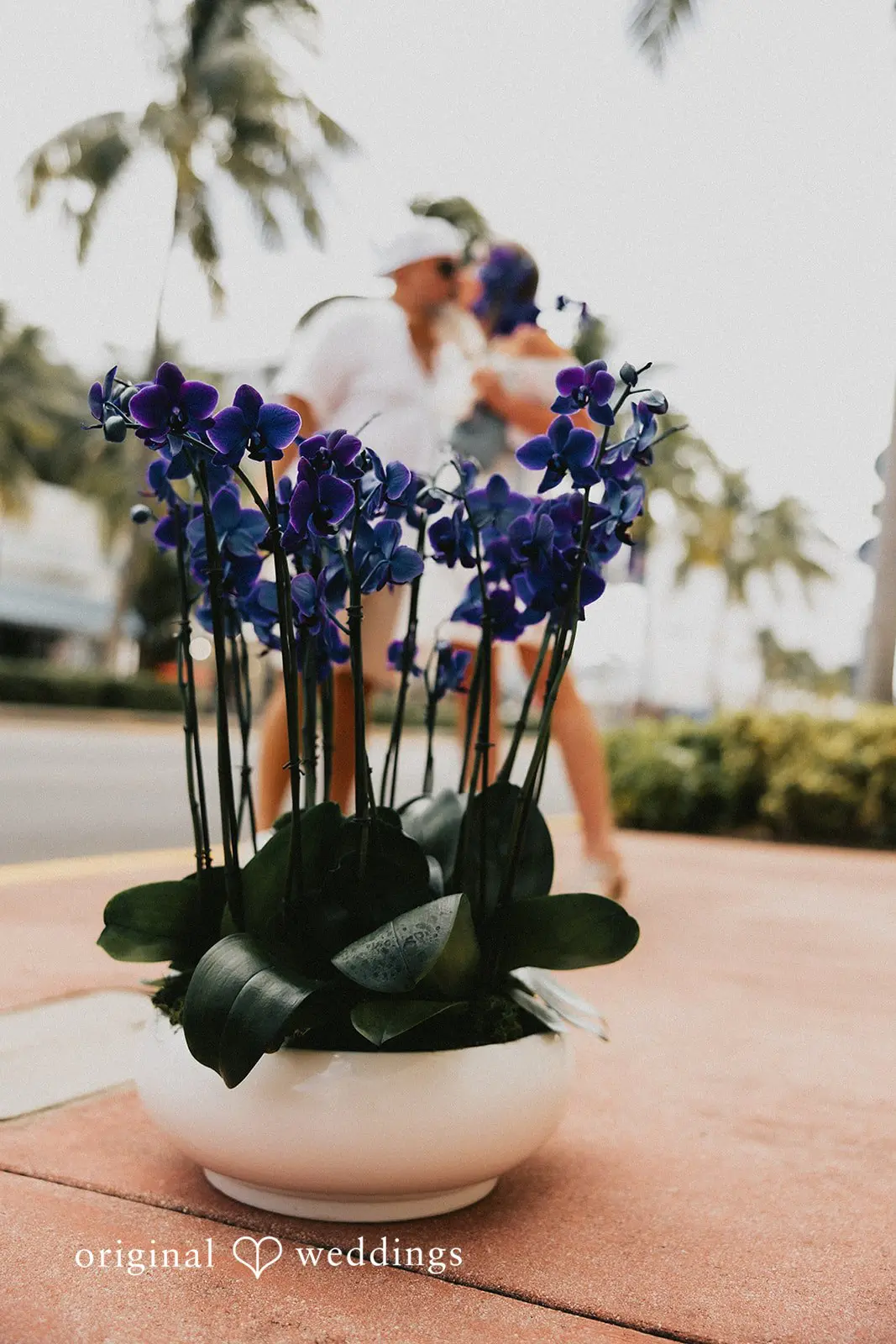 Evelyn + Ross Nautilus Sonesta Miami Beach Wedding // Evelyn & Ross -