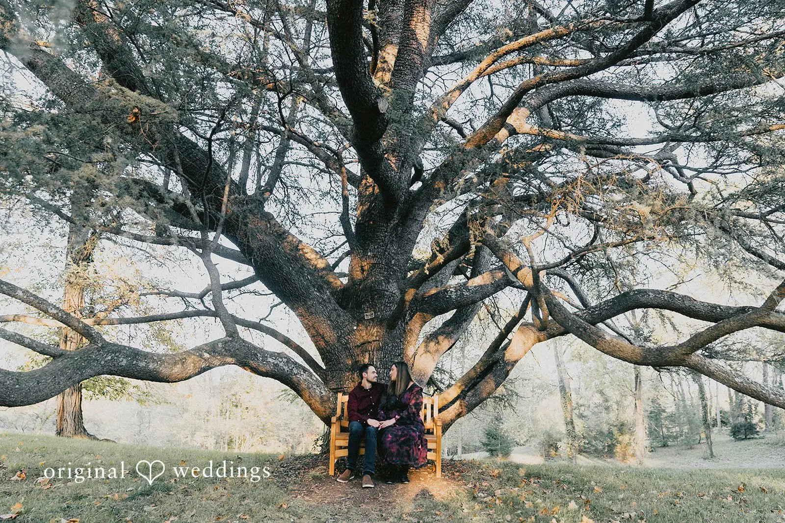Sydney + Michael Oatlands Historic House Engagement // Sydney & Michael -