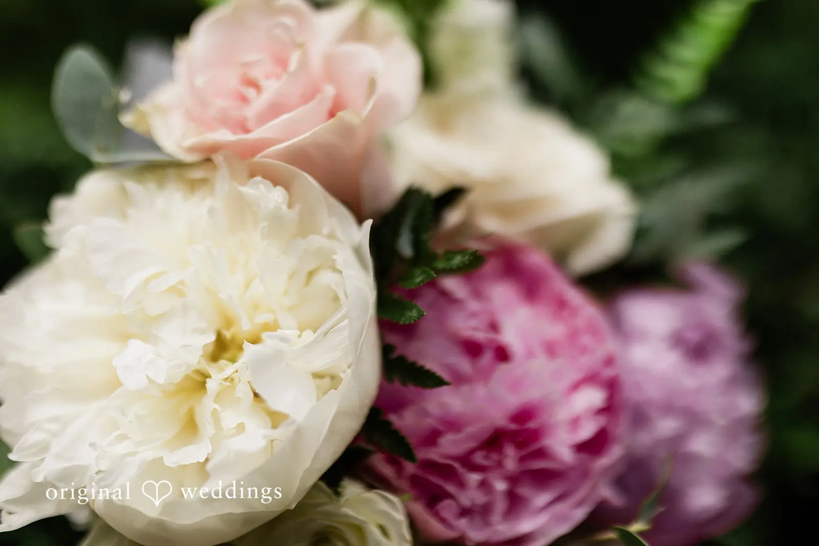 Ann + Leighton Parsons Gardens Wedding // Ann & Leighton -