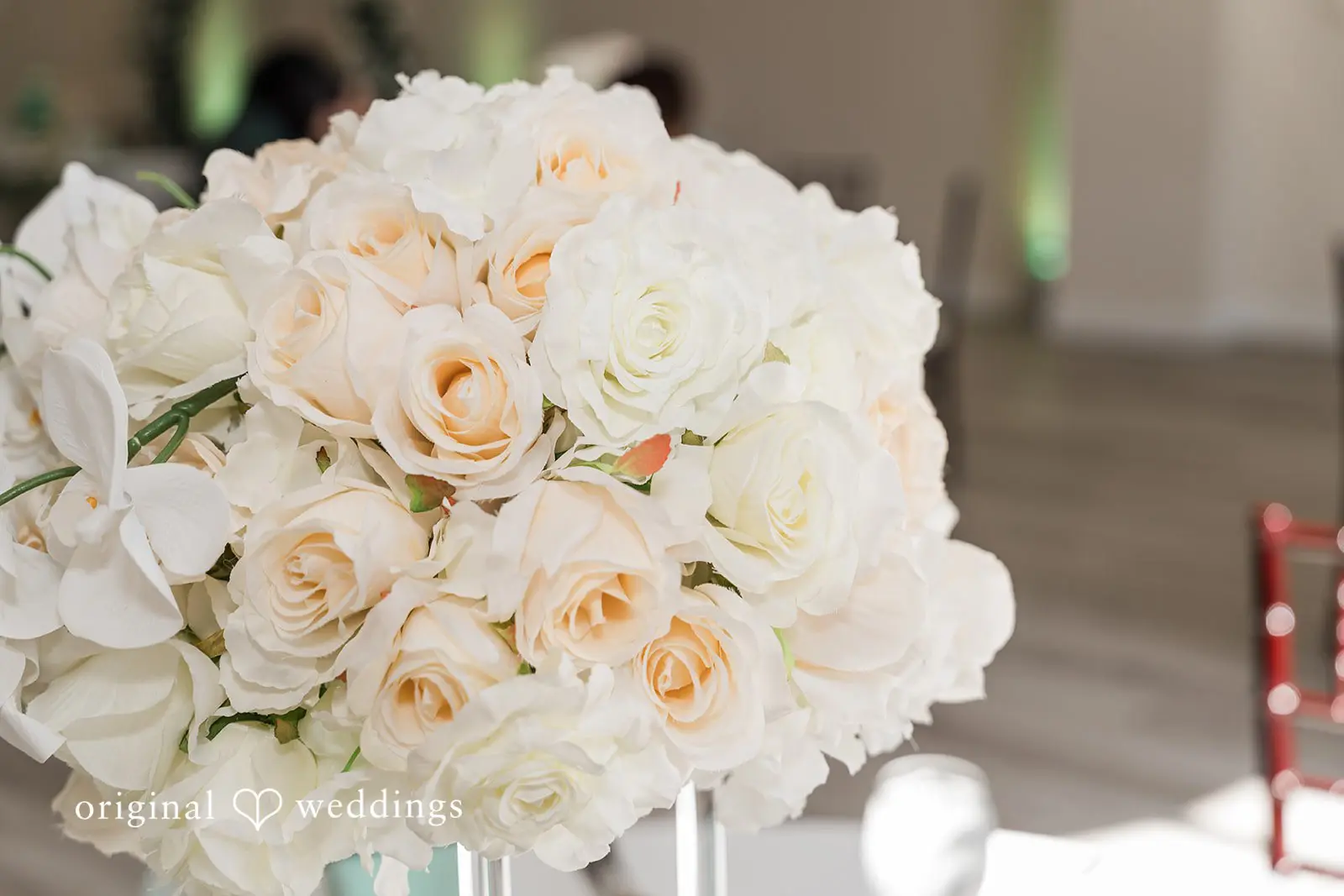 Reflections Venue and Gardens Wedding // Liz & Jess -