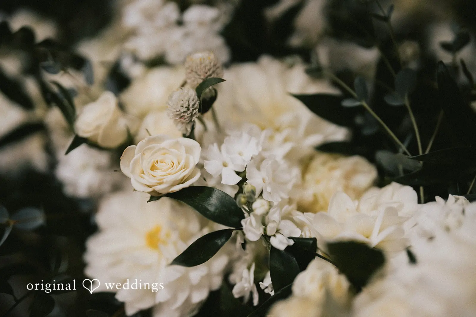 Silver Cloud Point Ruston Wedding // Ellen & Branning -