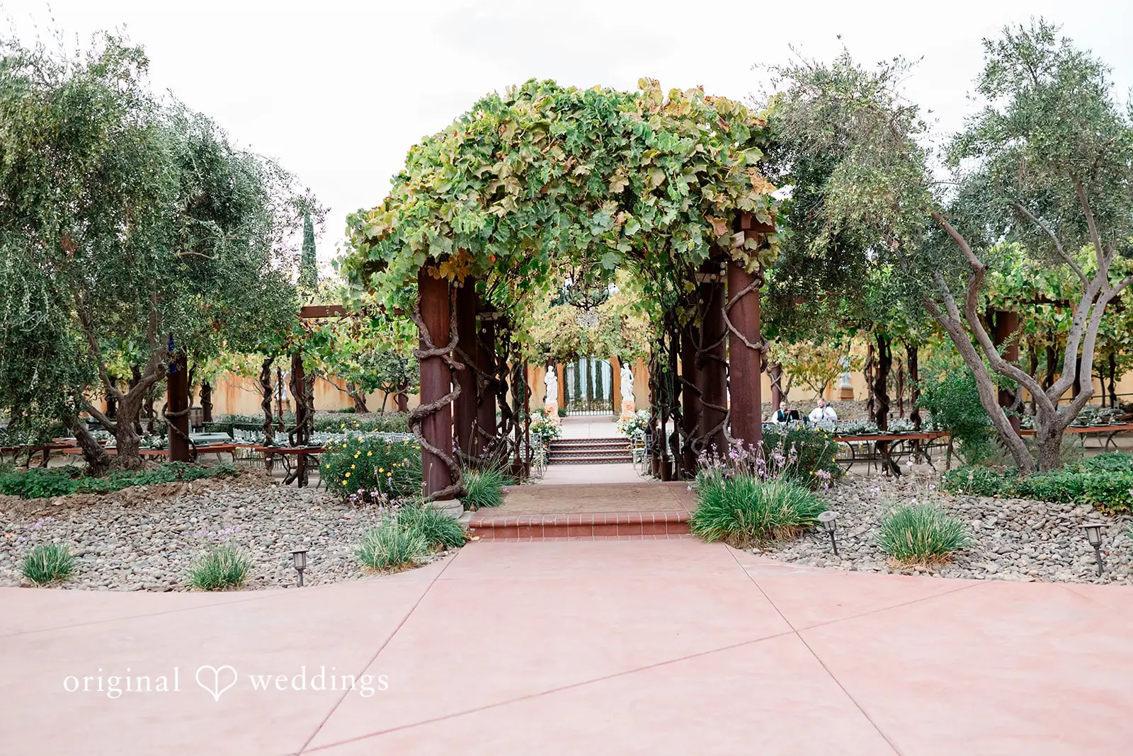 Samantha + Joshua St Jorge Winery Wedding // Samantha & Joshua -
