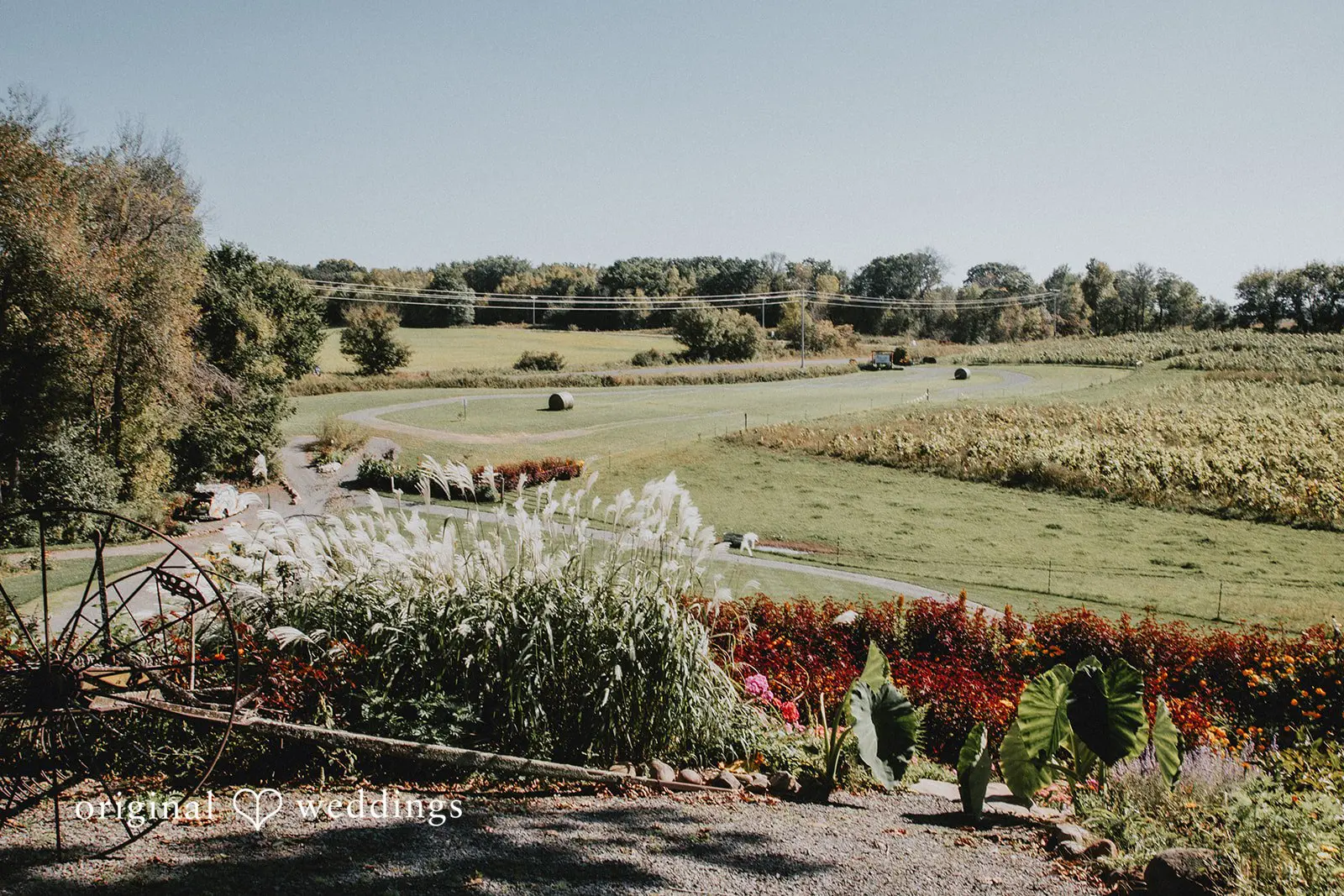 Grafton + Kalli Sunflower Hill Wedding // Grafton & Kalli -