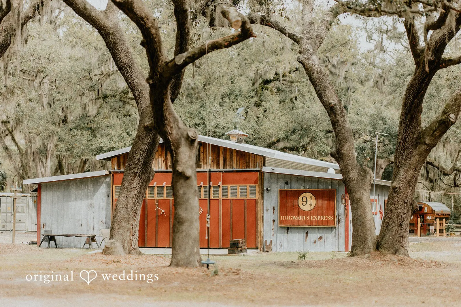 Tampa Backyard Wedding // Taylor & Demetre -
