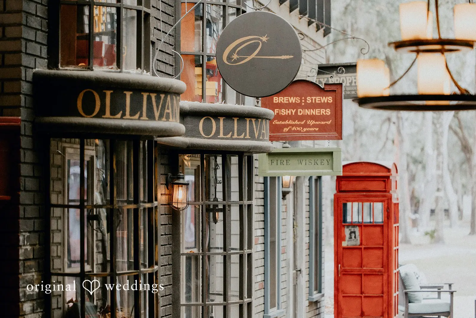 Tampa Backyard Wedding // Taylor & Demetre -