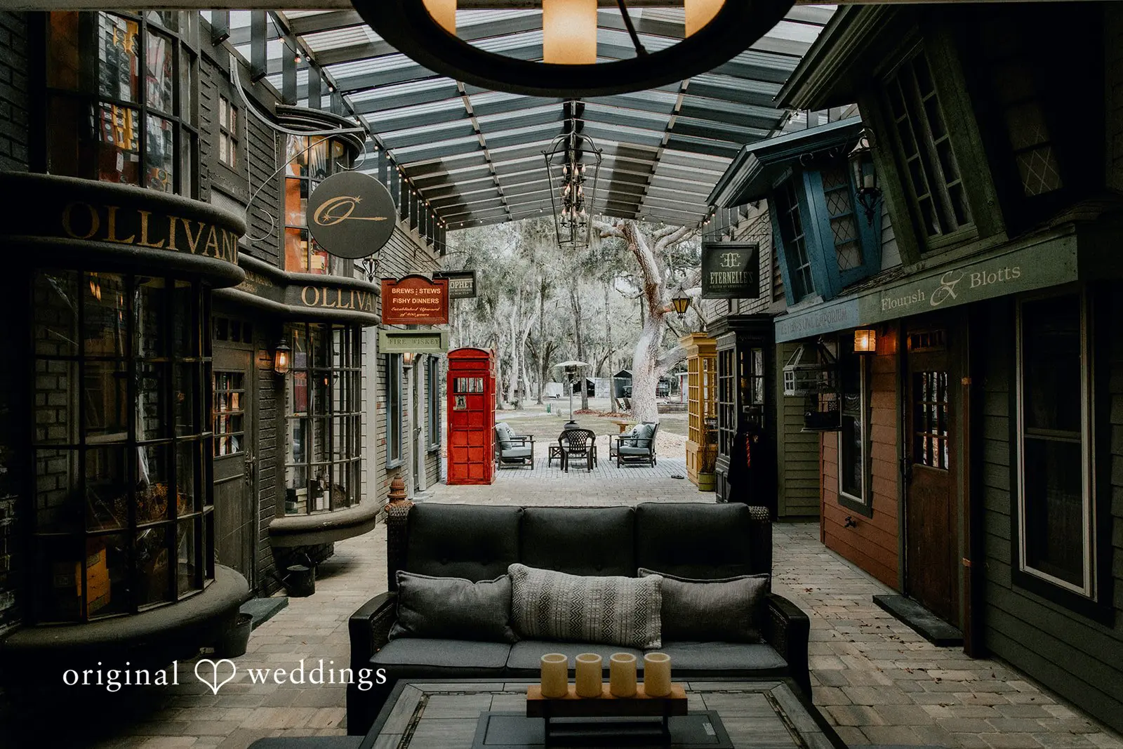 Tampa Backyard Wedding // Taylor & Demetre -