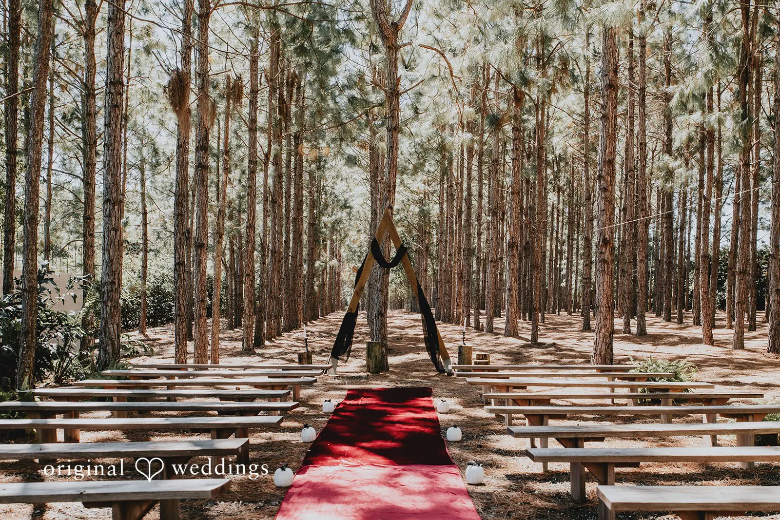 Madison + Seth The Pinery Wedding // Madison & Seth -