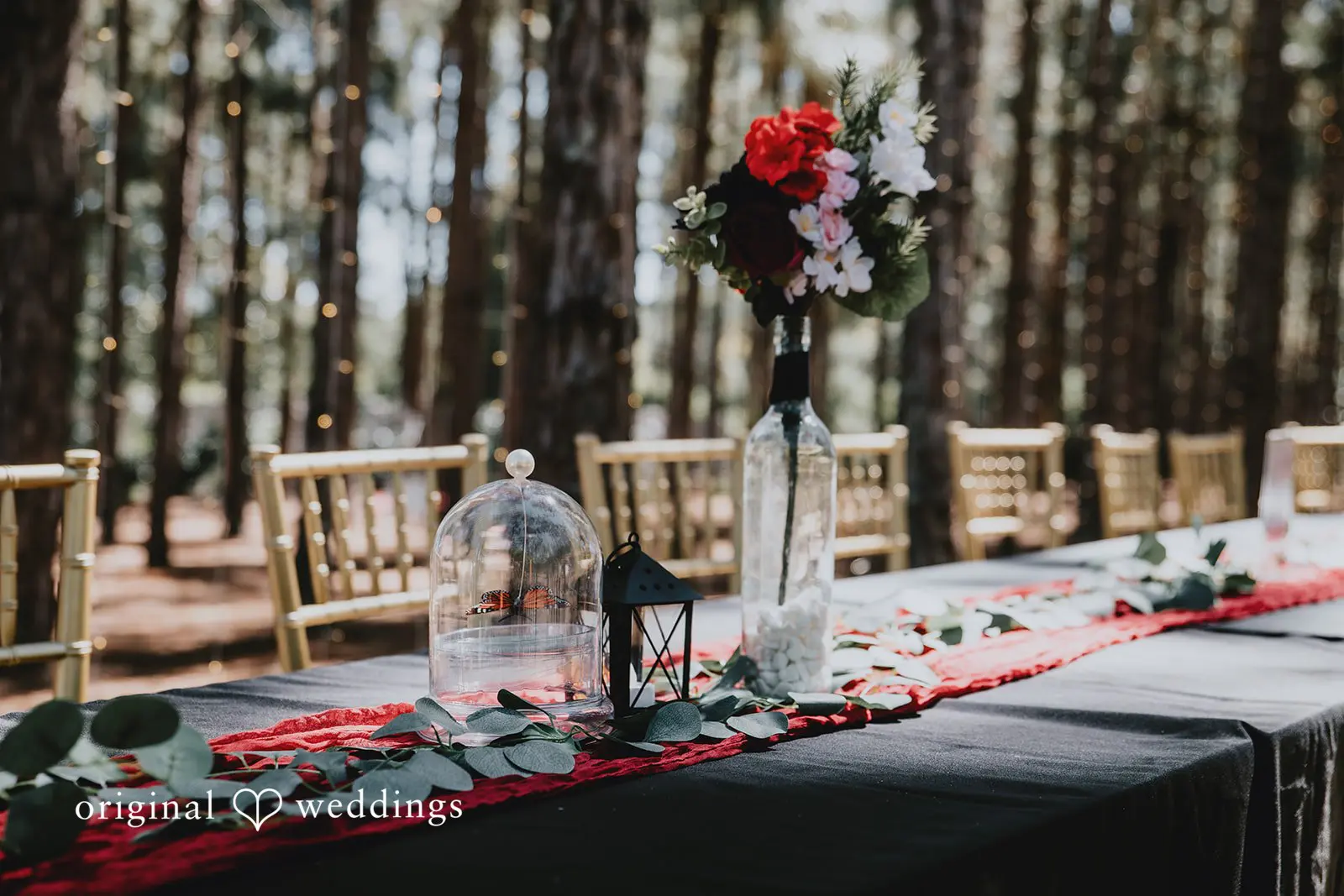 Madison + Seth The Pinery Wedding // Madison & Seth -