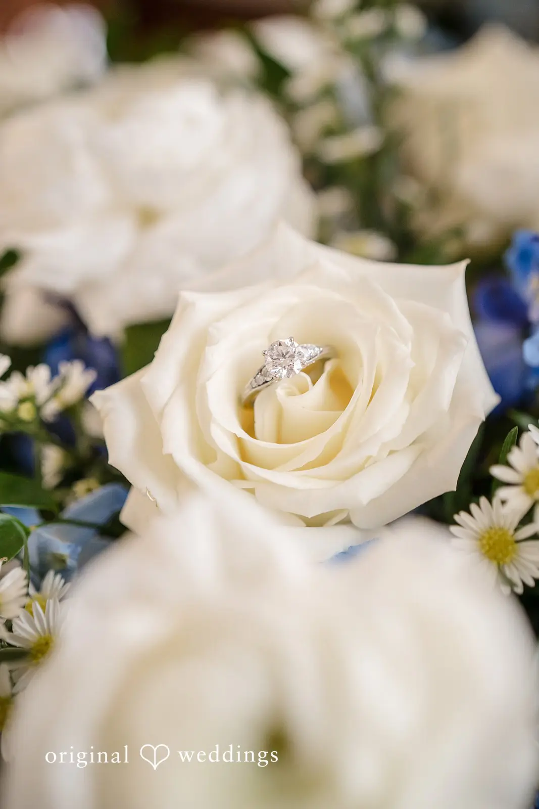 The Redfield Estate Wedding // Gabby & Anthony -