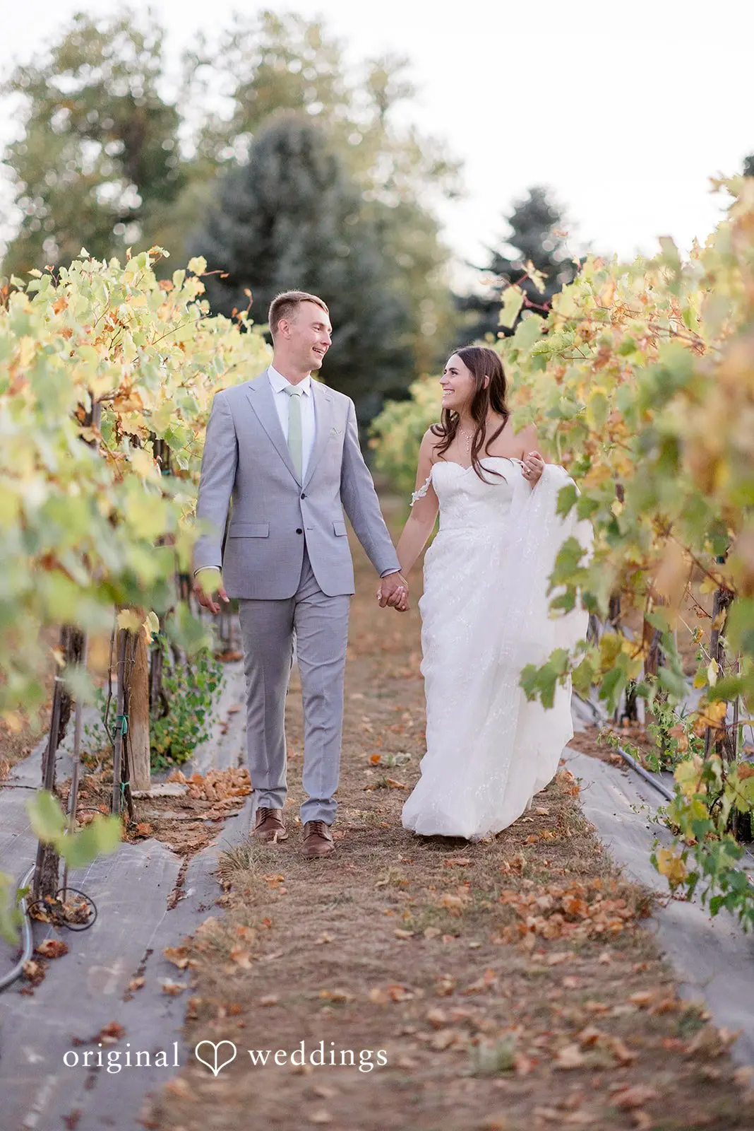 Lexi + Erick The Hillside Vineyard Wedding // Lexi & Erick -