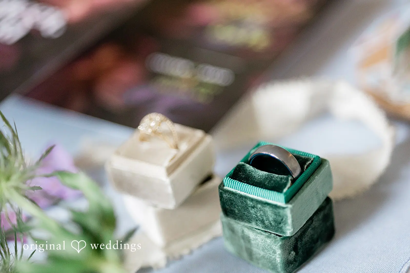 Colleen + David Washington Backyard Wedding // Colleen & David -