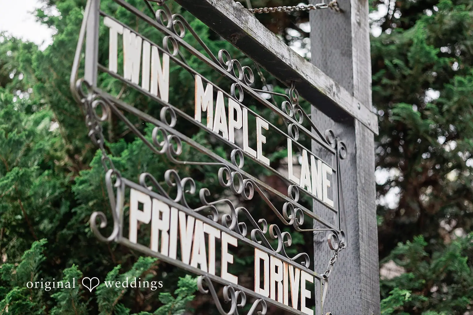 Colleen + David Washington Backyard Wedding // Colleen & David -