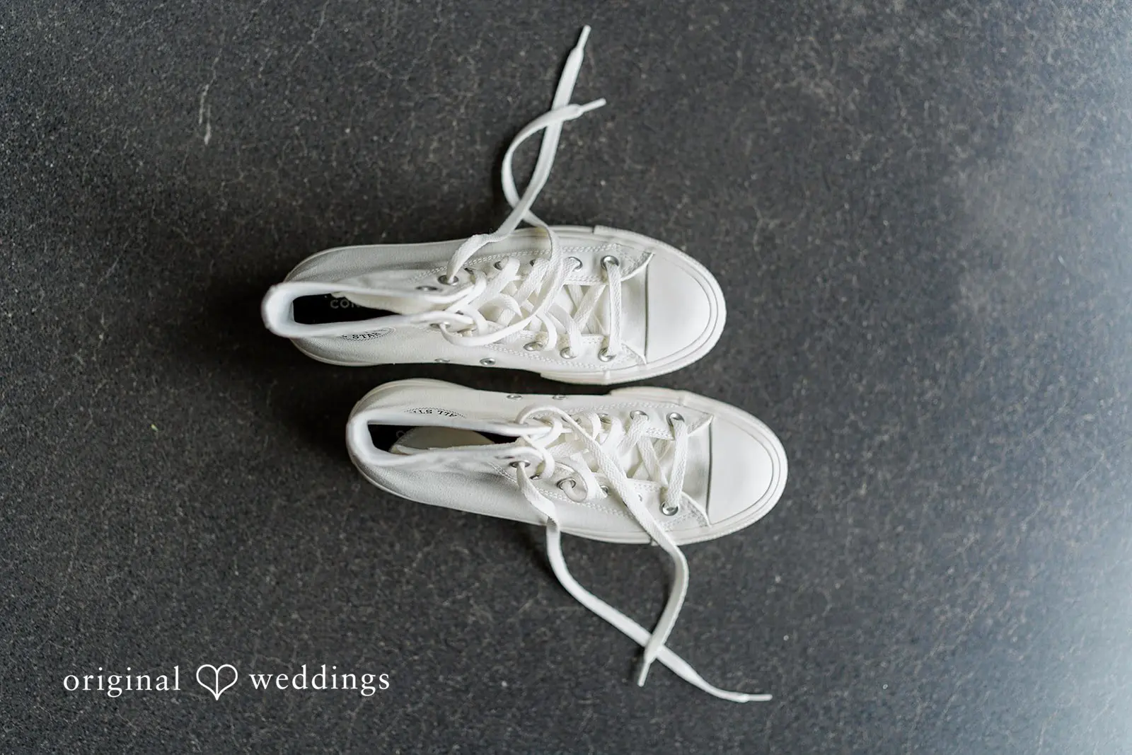 Demitri + Anthony Washington Backyard Wedding // Demitri & Anthony -