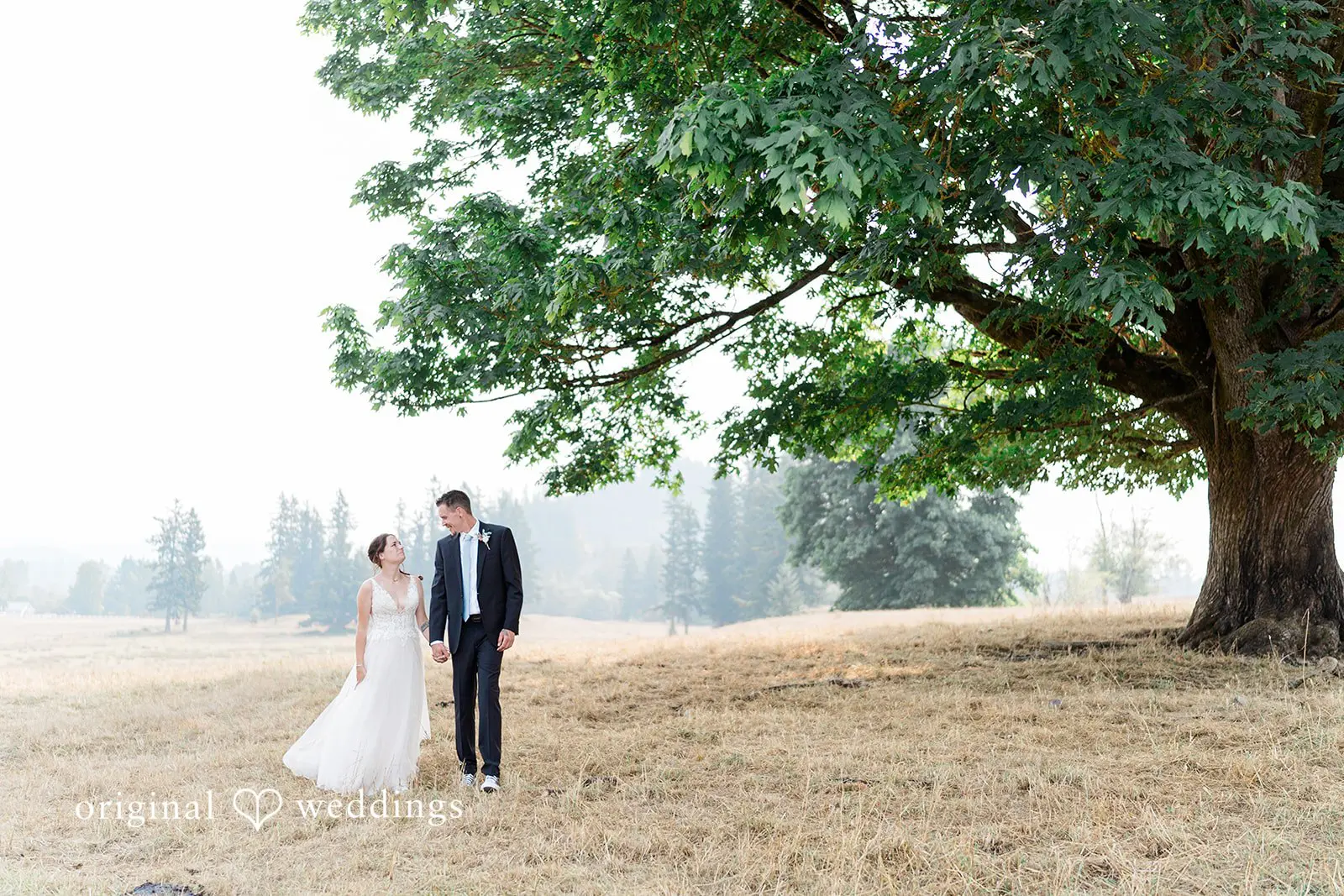 Demitri + Anthony Washington Backyard Wedding // Demitri & Anthony -