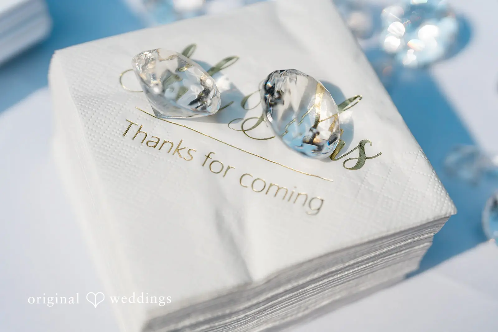 Jazmyn + Haydn Washington Backyard Wedding // Jazmyn & Haydn -