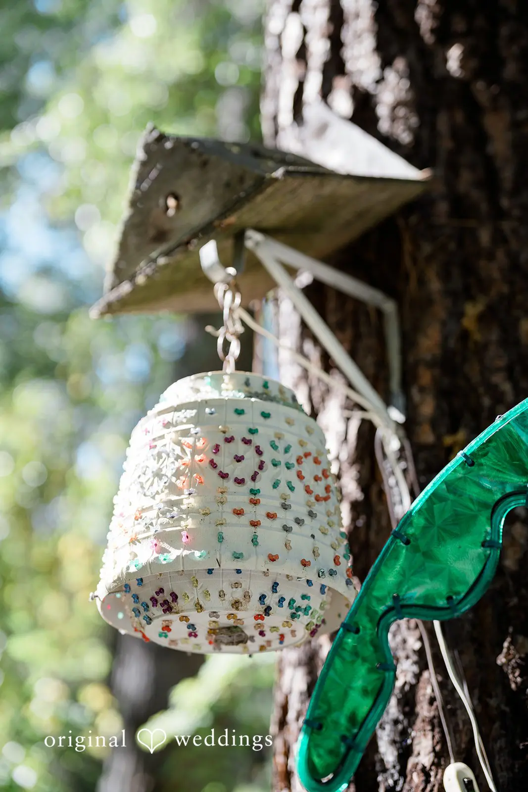 Marjorie + Zach Washington Backyard Wedding // Marjorie & Zach -