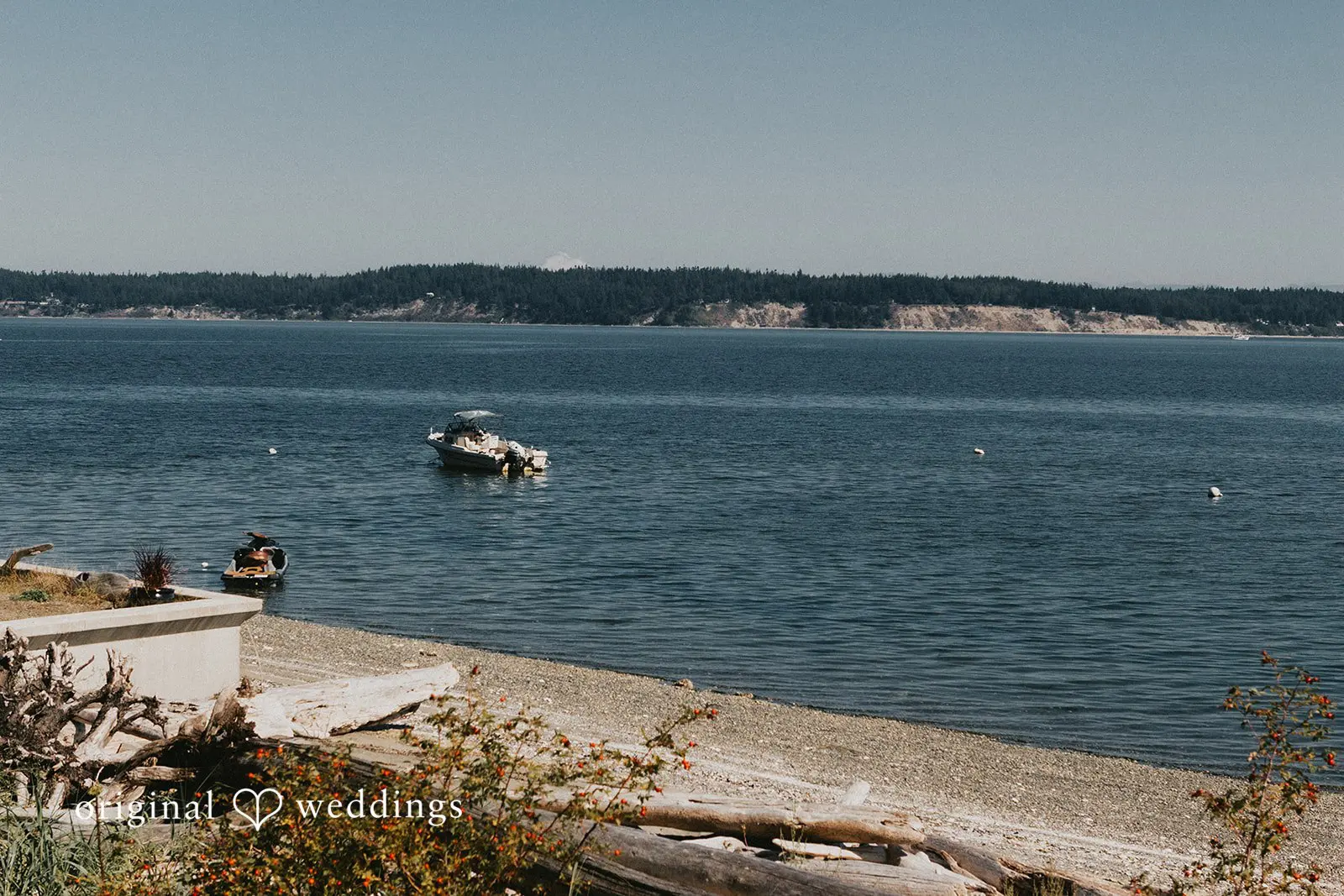 Washington Backyard Wedding // Ashley & Garrett -