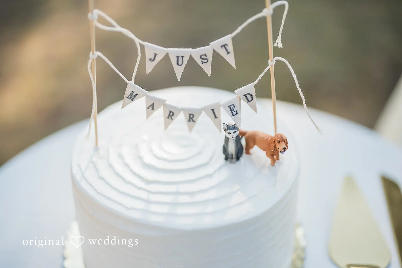 Emily + Brian Washington Backyard Wedding // Emily & Brian -