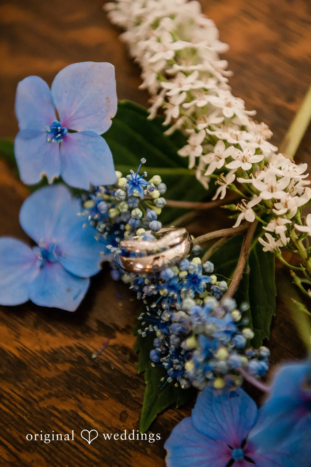 Washington Backyard Wedding // Anna & Michael -