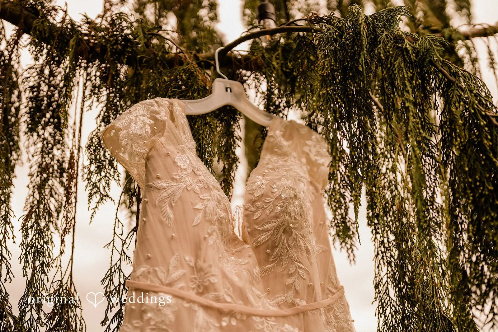 Washington Backyard Wedding // Brianna & Zack -