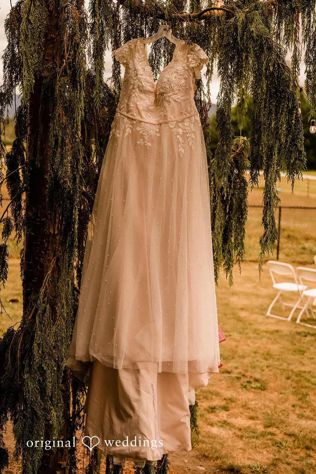 Washington Backyard Wedding // Brianna & Zack -