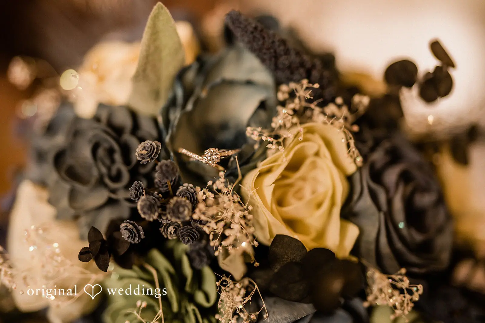 Washington Backyard Wedding // Brianna & Zack -