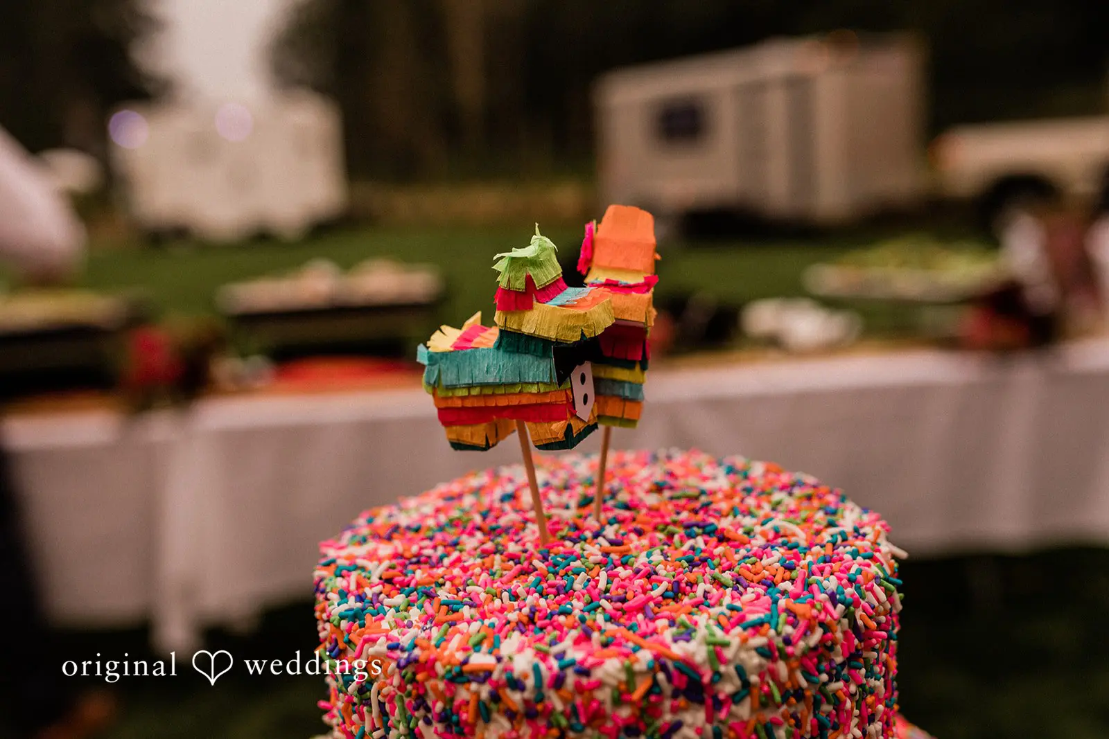 Washington Backyard Wedding // Rachel & Zachary -