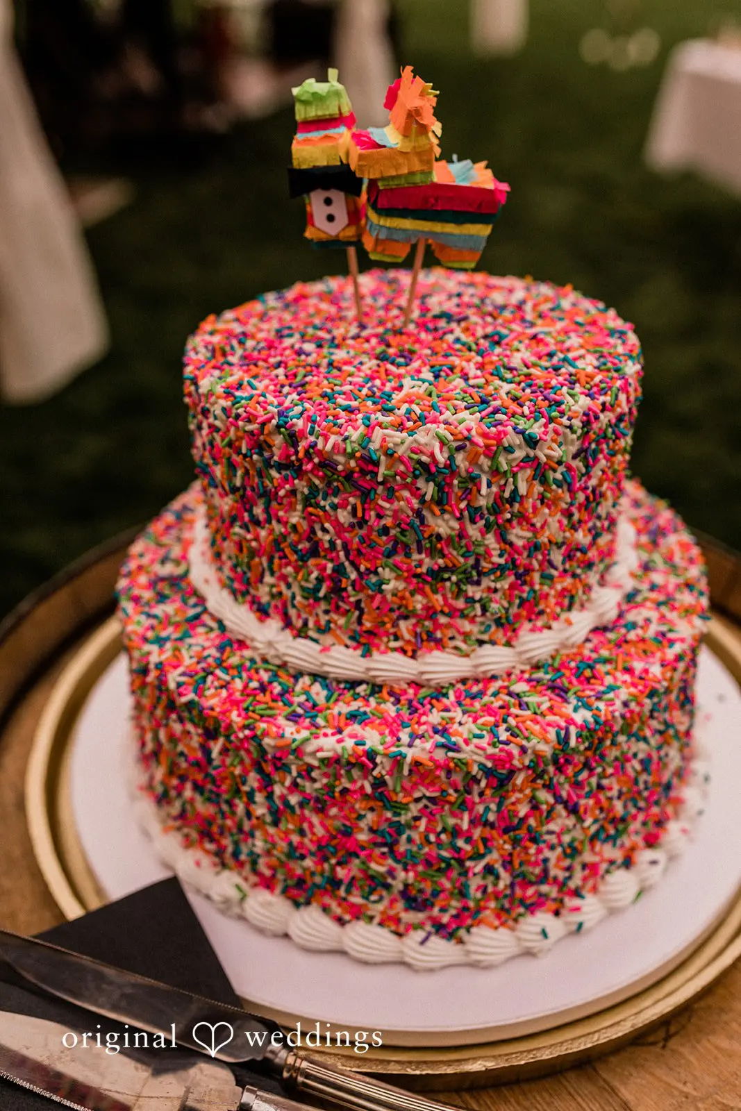 Washington Backyard Wedding // Rachel & Zachary -