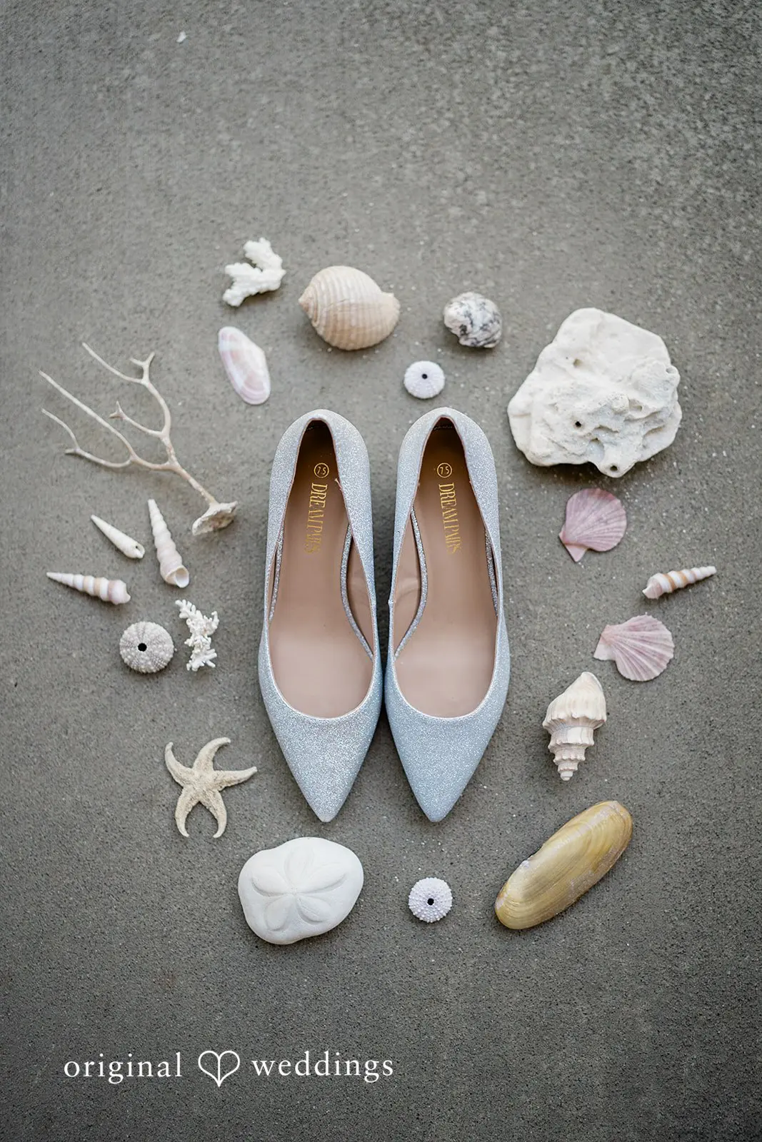 Washington Beach Wedding // Cassandra & Joel -