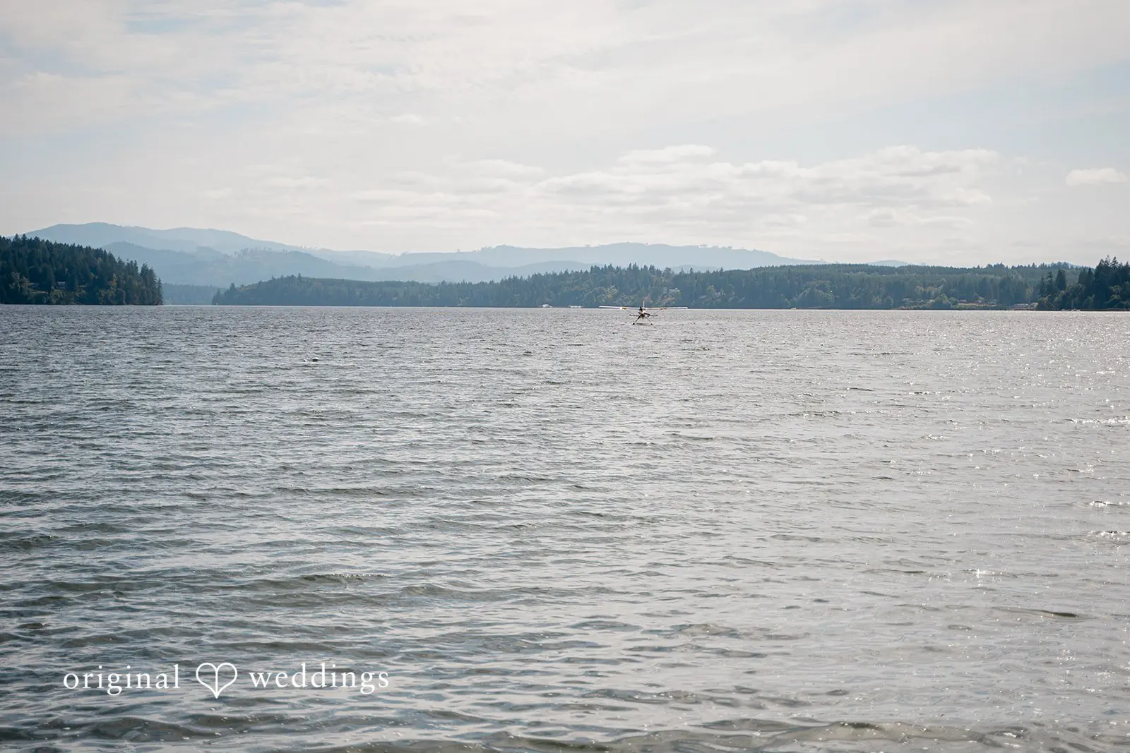 Washington Beach Wedding // Cassandra & Joel -