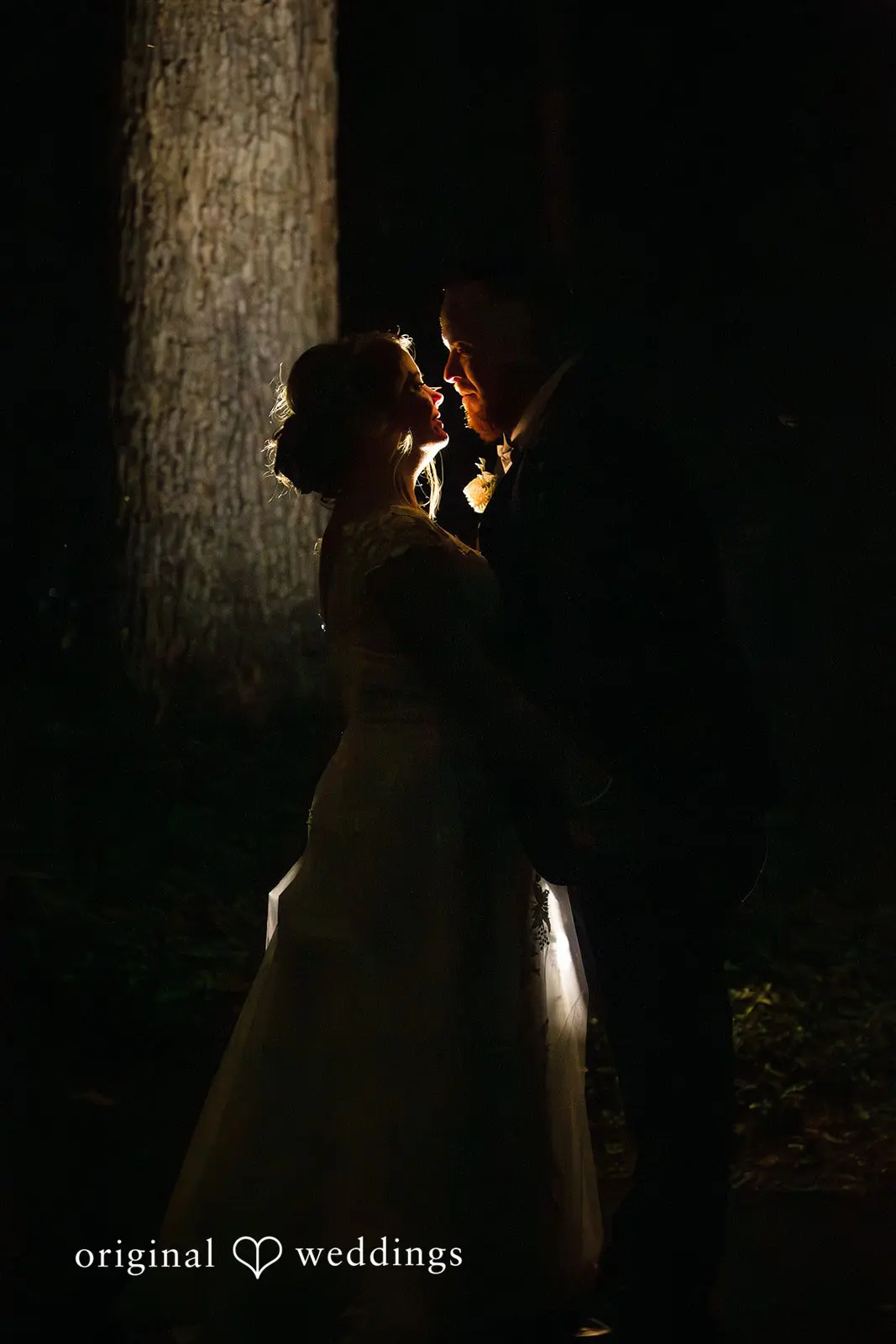 Amanda + Jeremy Washington DC Backyard Wedding // Amanda & Jeremy -