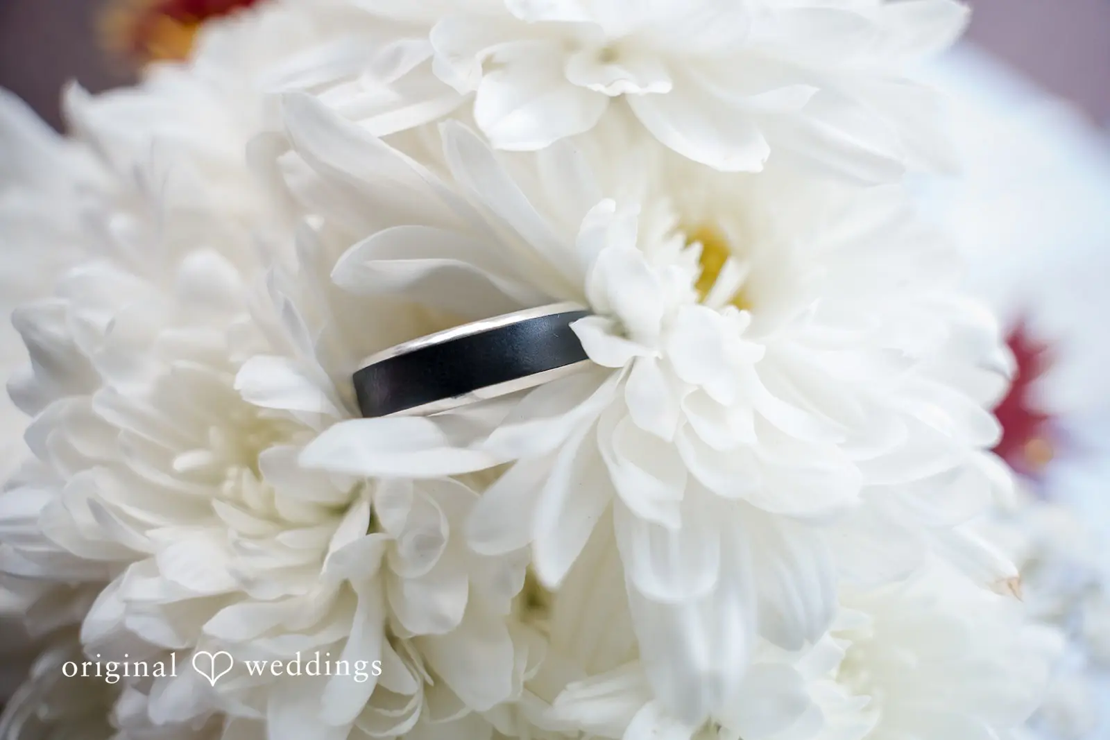 Jayse + Julia William Paca House and Garden Wedding // Jayse & Julia -