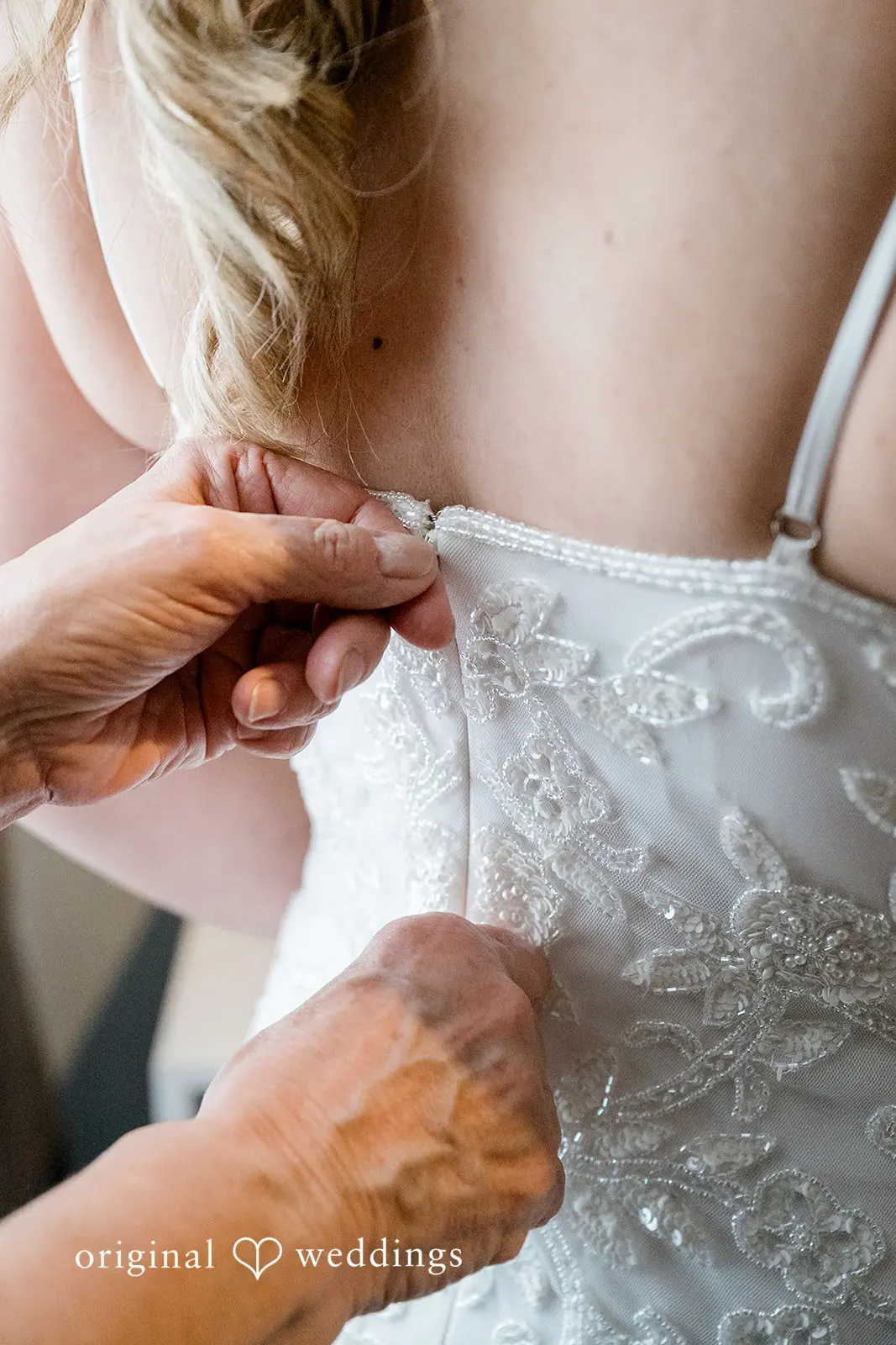 Allison +Carlos Wine Garden Wedding // Allison & Carlos -