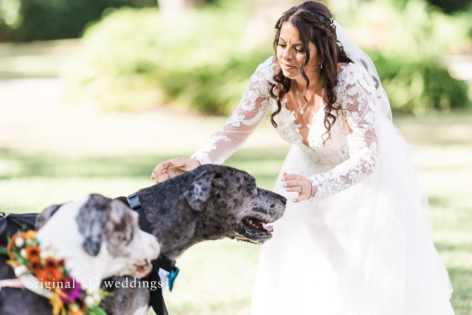 Bakers Ranch Wedding // Alexandra & Christopher -