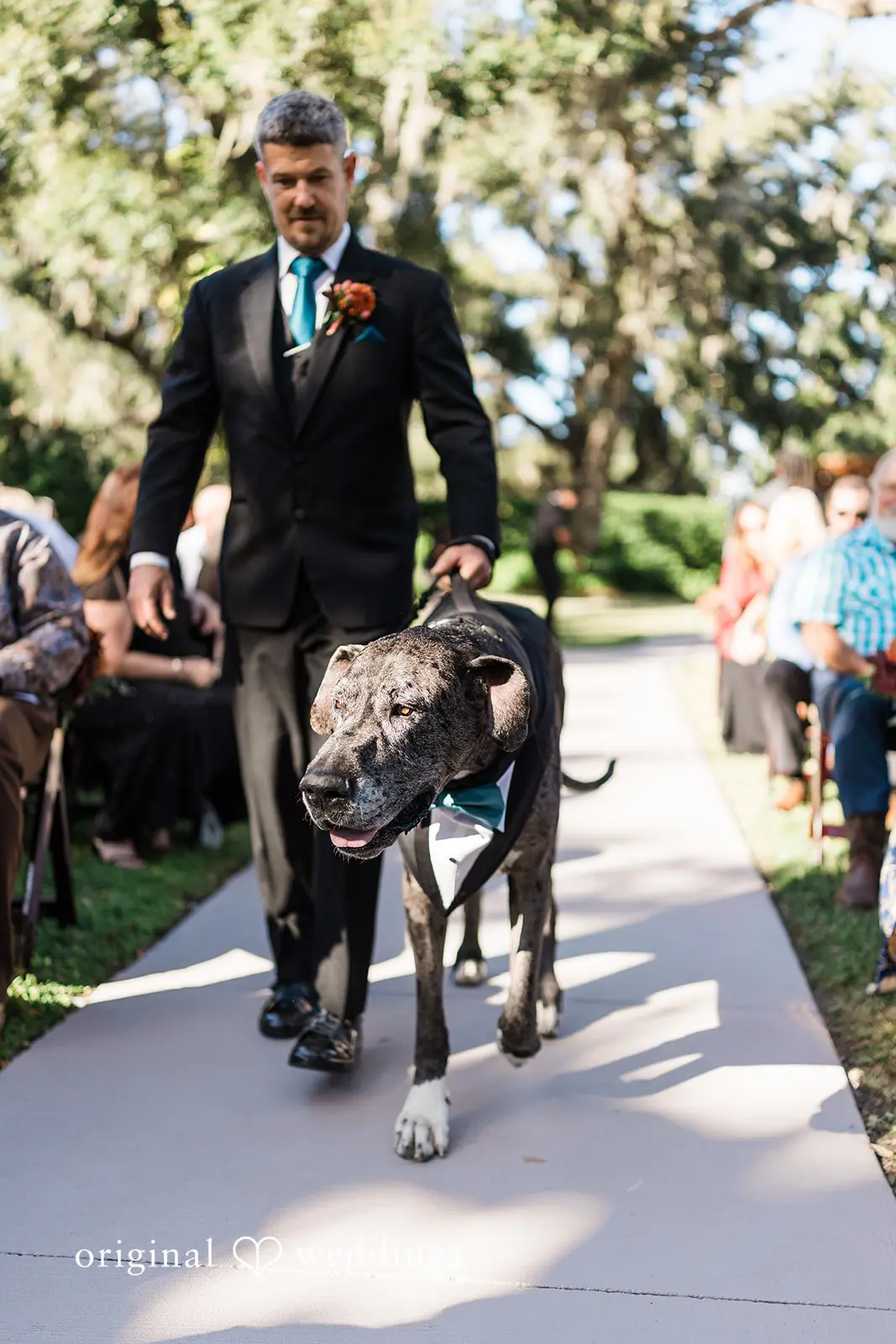 Bakers Ranch Wedding // Alexandra & Christopher -
