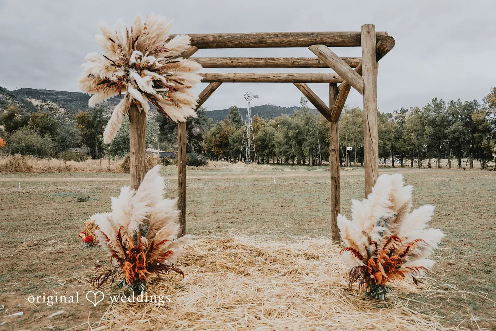 California Backyard Wedding // Charlie & Nicholas -