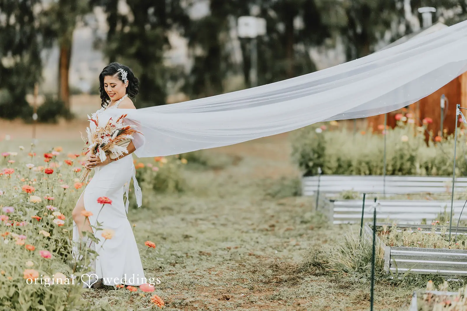 California Backyard Wedding // Charlie & Nicholas -